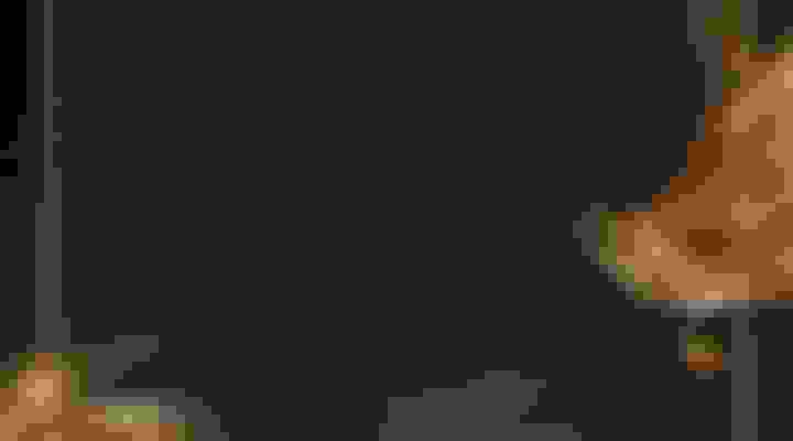 bg-7